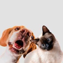 Just Your Fur Baby - Pet Stores