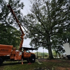 Gnarly By Nature Tree Service