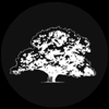 Treedog's Tree Service gallery