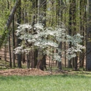 Milton Fields Green Cemetery - Cemeteries