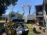 Arborist Tree Techs - Tree & Stump Removal Services
