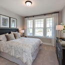 Bridgeberry - Taylor Morrison - Home Builders