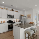 Cool Water at Sonterra | Empire Homes - Home Builders