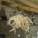 Roto-Rooter Plumbing & Water Cleanup - Plumbing-Drain & Sewer Cleaning