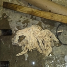 Roto-Rooter Plumbing & Water Cleanup