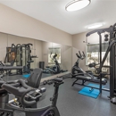 Best Western Plus Lake Dallas Inn & Suites