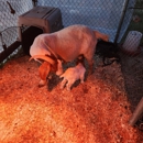 Decuir Family Farms - Farming Service