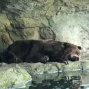 Woodland Park Zoo - Zoos