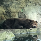 Woodland Park Zoo