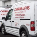 Cavanaugh's Termite & Pest Services, Inc - Bee Control & Removal Service
