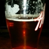 Hops at 84 east gallery