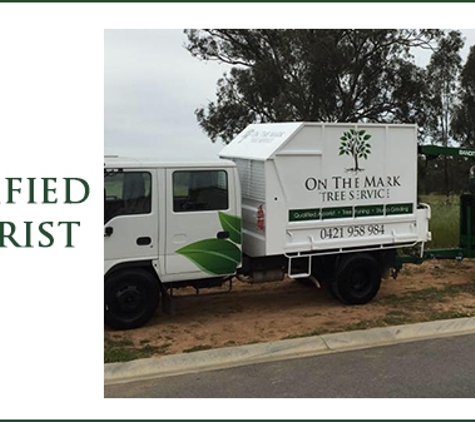 On The Mark Tree Service - Gregadoo, NSW. Qualified Arborist