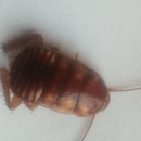Pest Control of Naples - Pest Control Equipment & Supplies