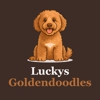 Lucky’s GoldenDoodles gallery