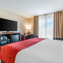 Comfort Suites Downtown Sacramento - Hotels