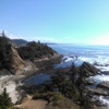 Cape Arago State Park gallery