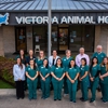 VCA Victoria Animal Hospital gallery