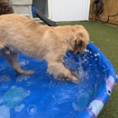 Marcie's Pet Spa - Pet Boarding & Kennels