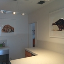 EZ Vet Pet Health Care Center- Animal Hospital - Pet Services