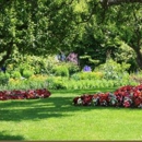 Castillo Tree & Lawn Service Inc - Tree Service