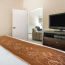 Comfort Suites Vestal near University - Motels