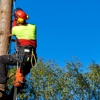 A & W Tree Services gallery