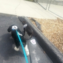 Battlefield Park