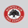 Montclair Tree Experts gallery