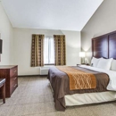 Comfort Inn & Suites Love Field-Dallas Market Center - Motels