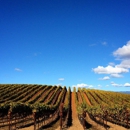 Williams Selyem Winery - Wine