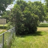 T&G Tree Service gallery