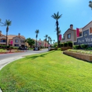 Palm Villas at Whitney Ranch Apartments - Apartments