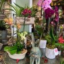 Heather & Vine - Florists