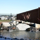 Evergreen Valley Landscape