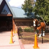 Anheuser-Busch Inc gallery