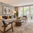 Willow Run at Mark Center Apartment Homes - Apartments