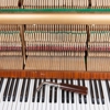 Joel Levine Piano Tuning gallery