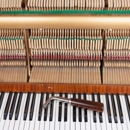 Joel Levine Piano Tuning - Pianos & Organ-Tuning, Repair & Restoration