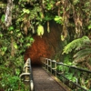 HawaiiTours.com gallery