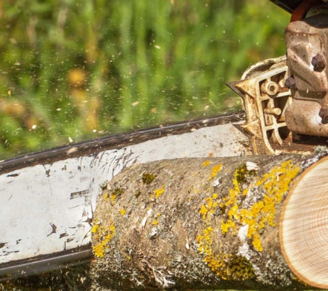 Colorado Arborlogical Tree Service - Pueblo, CO