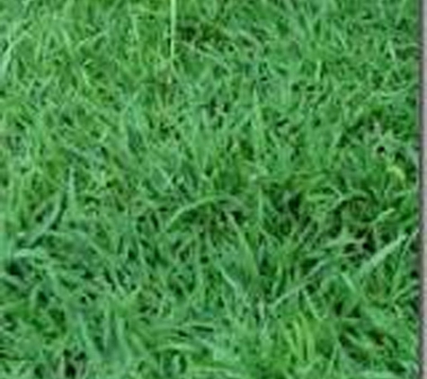 Bundaberg Turf Supplies - Meadowvale, QLD