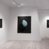 NYB Gallery gallery
