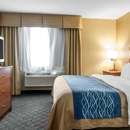 Comfort Inn & Suites - Motels
