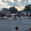 Yellowsnake Horses-Brazos River Ranch gallery