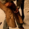 Don Cincebox Horseshoeing gallery