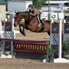 Penny Lane Stables