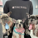 Furry Babies Rockford - Pet Stores