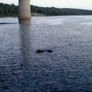 Photo #01