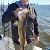Exclusively Walleye Guide gallery