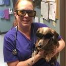 Lebanon Road Animal Hospital - Veterinarians